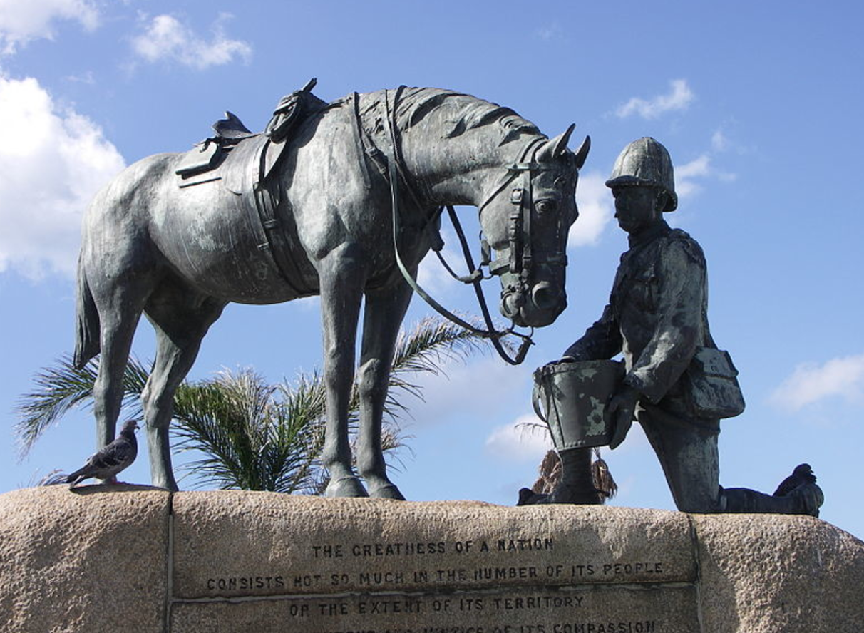 Memorial Day Honoring the Horses of War Eventing Nation ThreeDay