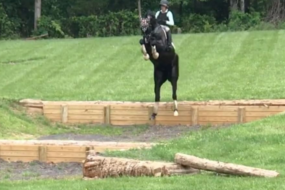 Friday Video from World Equestrian Brands: One Way To Tackle a Bank ...