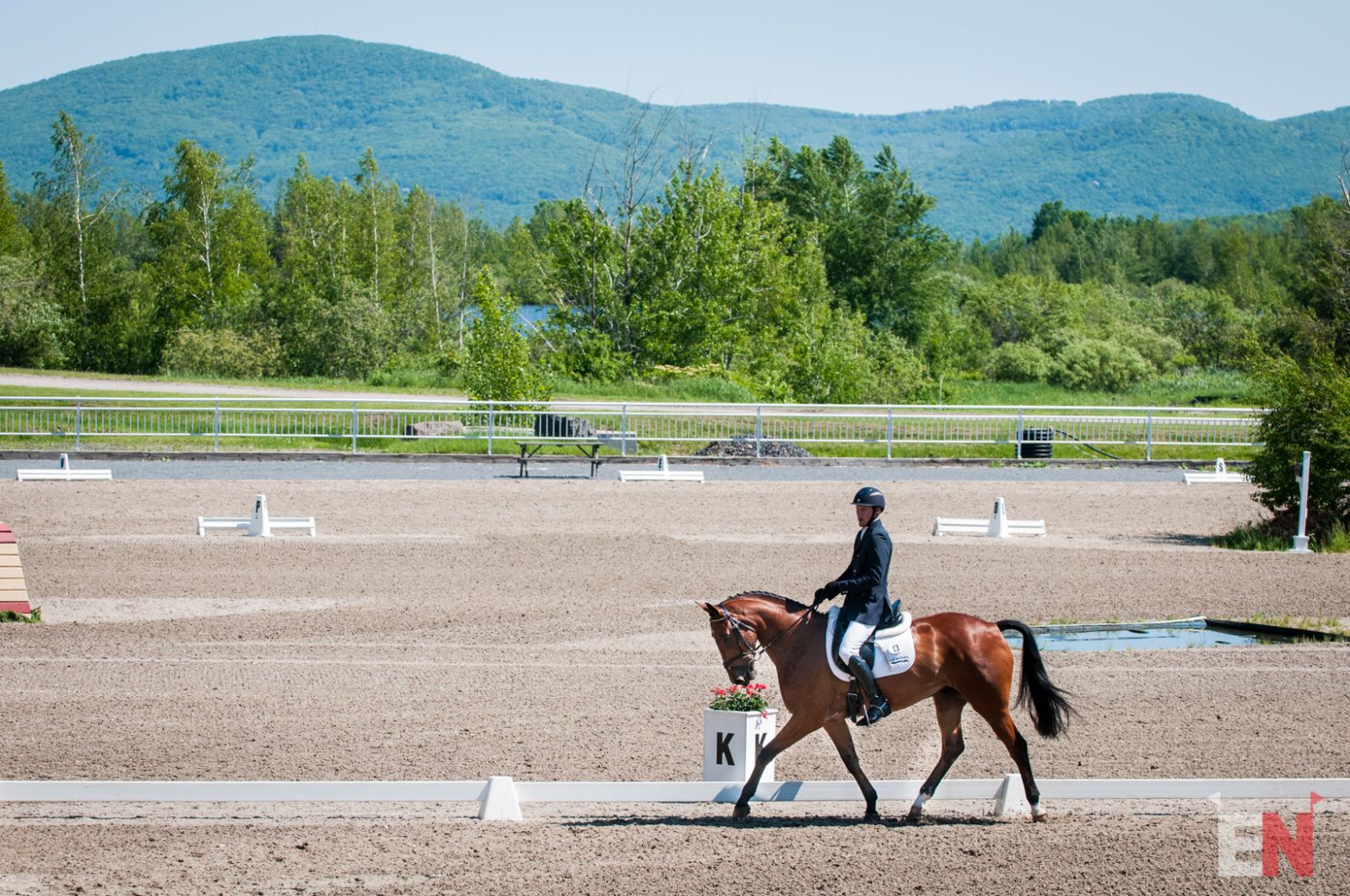 Allison Springer and Lord Willing Steal the Show at Bromont CCI2