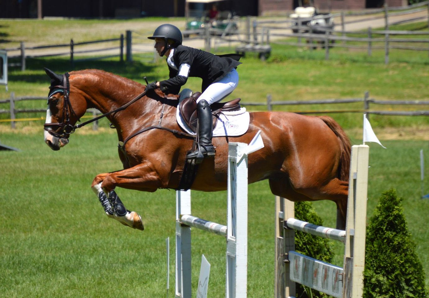 Road to NAJYRC Catching Up With Cornelia Dorr Eventing Nation