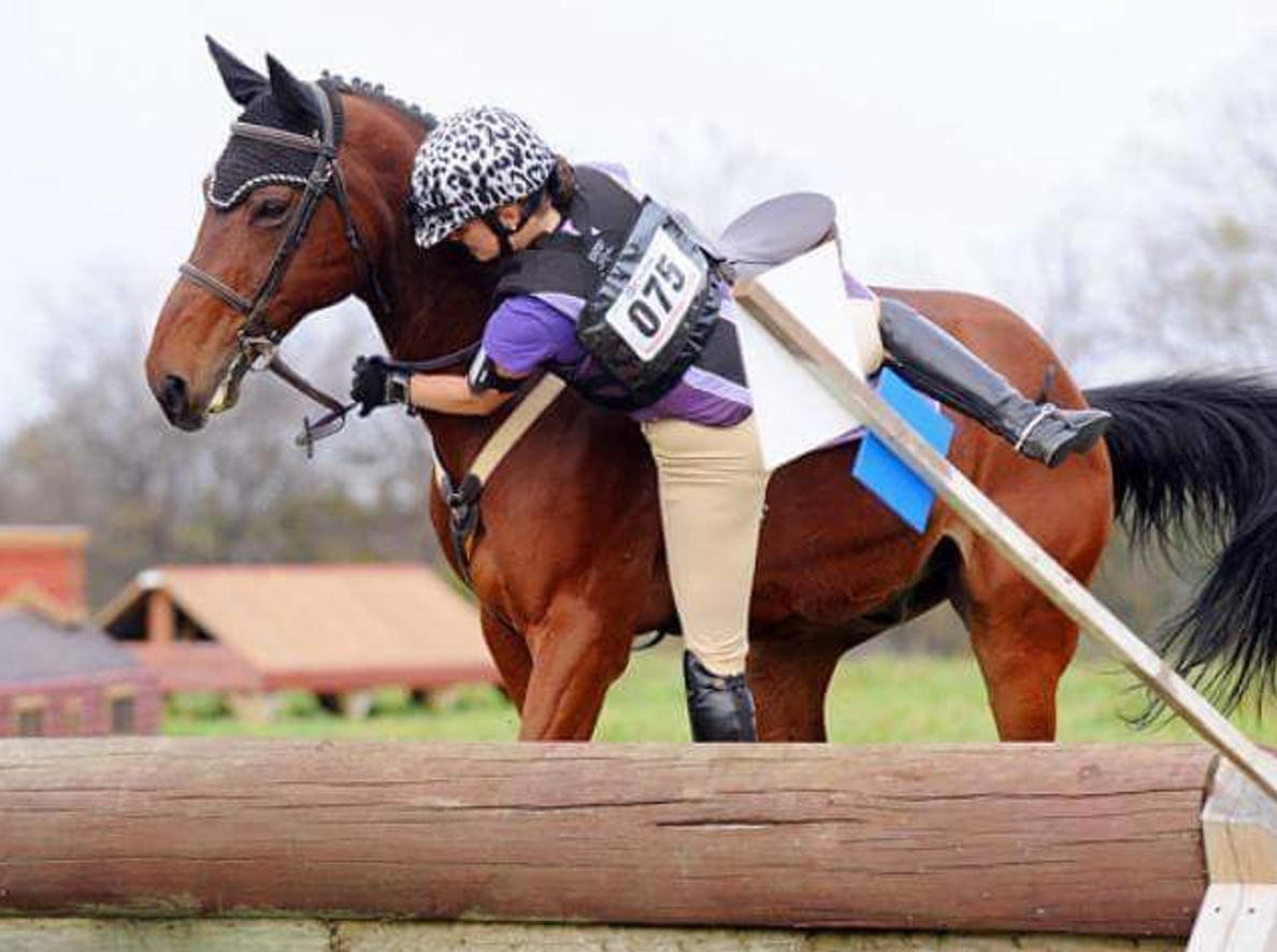 #EventerFailFriday: Garden Variety Fail | Eventing Nation - Three-Day ...