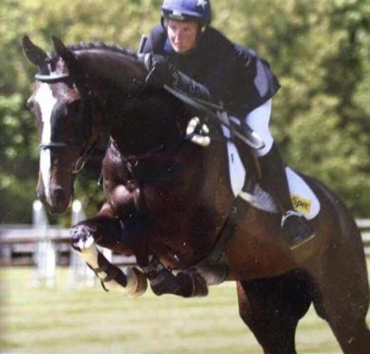 Sport Horse Nation Spotlight Black Friday Edition Eventing Nation