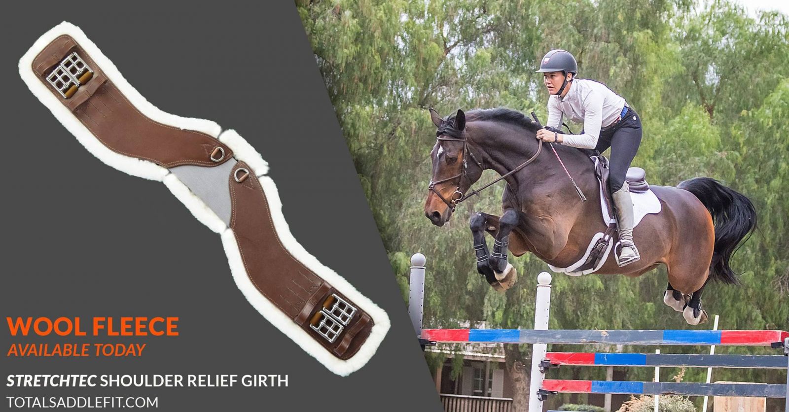 Eventing Girth 12 Days of Christmas: Win a StretchTec Shoulder Relief Girth From Total ...