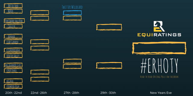Voting is underway for 2017 EquiRatings Horse of the Year!