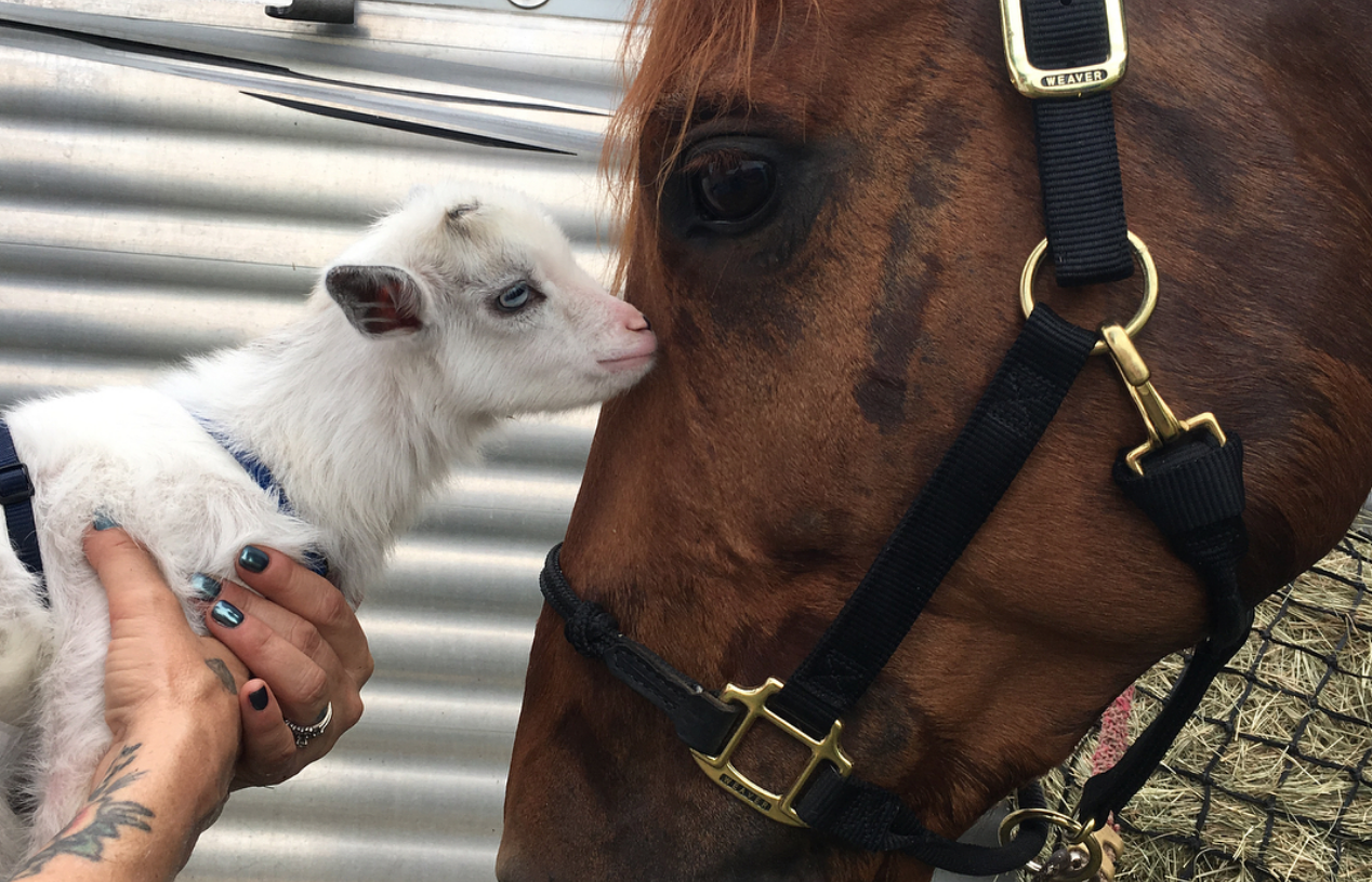 Weekend Winners Hitching Post, Kent School, Chatt Hills, Otter Creek
