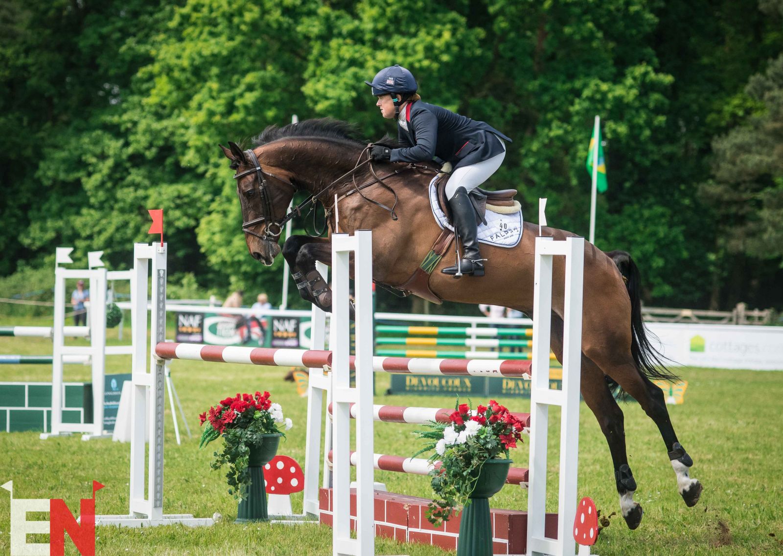 Houghton CICO3* Showjumping Chutes and Ladders on the Leaderboard