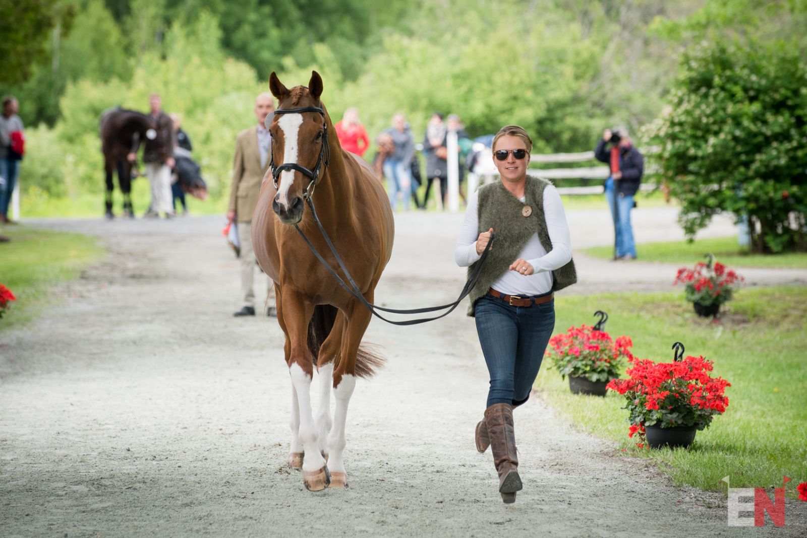 Bonjour, Bromont! Notes from the First Horse Inspection Eventing