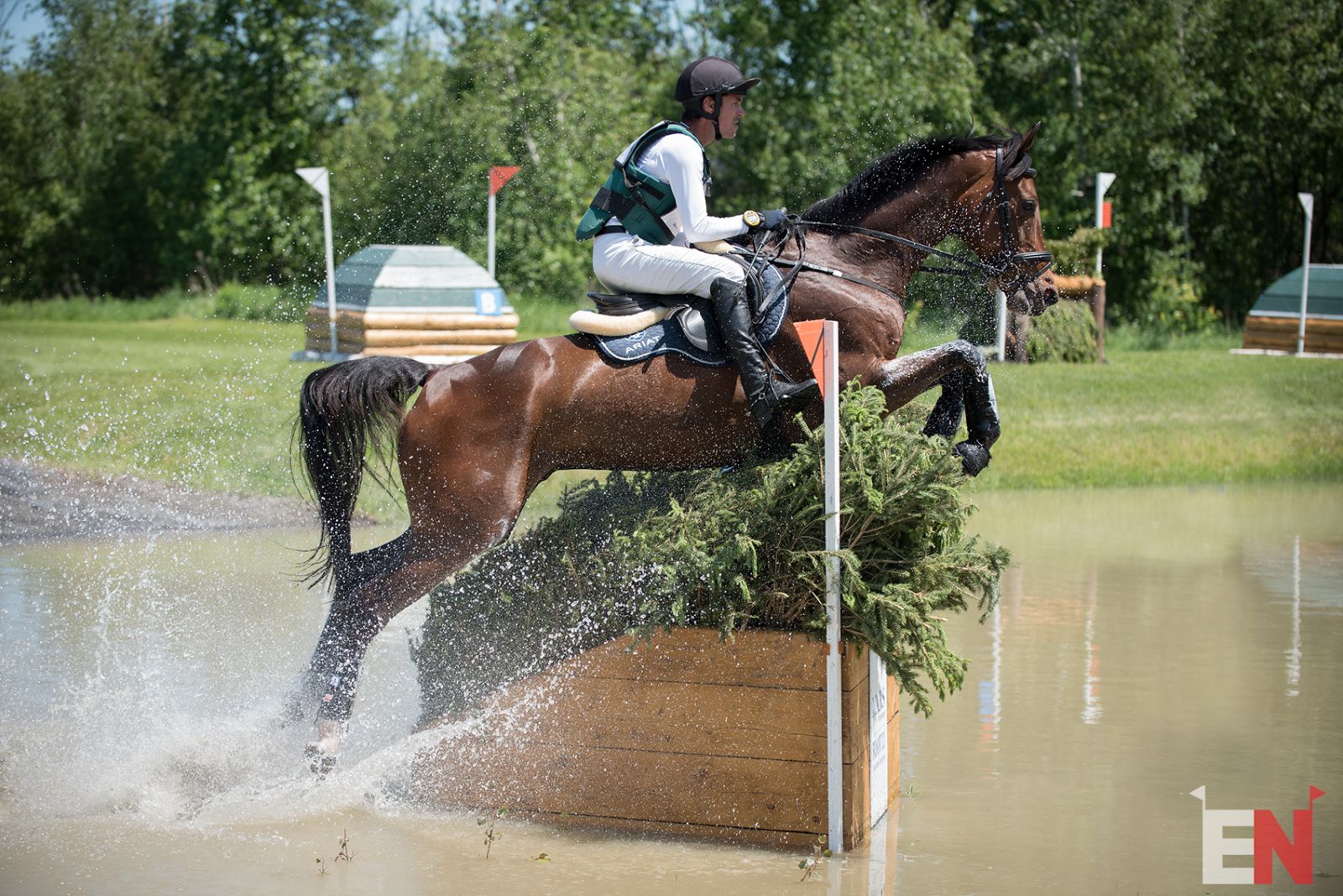 Switzerland Announces Team for 2018 World Equestrian Games | Eventing ...