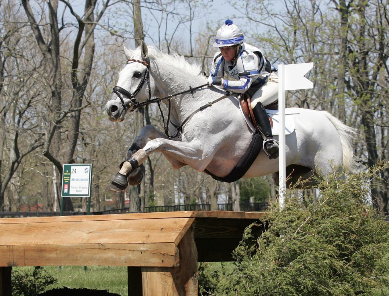 Legendary Event Horse Ringwood Cockatoo Passes Away at Age 27