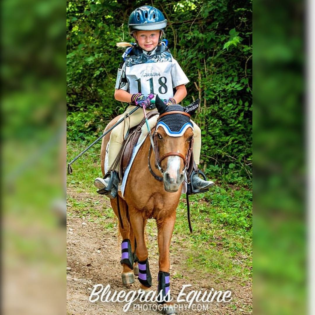 Best of 2018 Video Countdown 6 Cutest Helmet Cam Ever Eventing