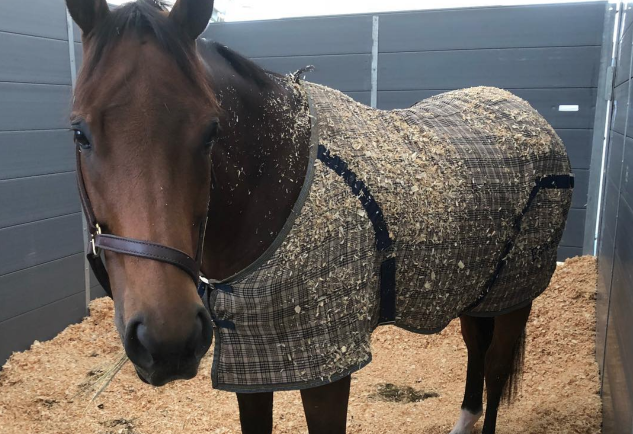 Wednesday News & Notes from Attwood Equestrian Surfaces Eventing