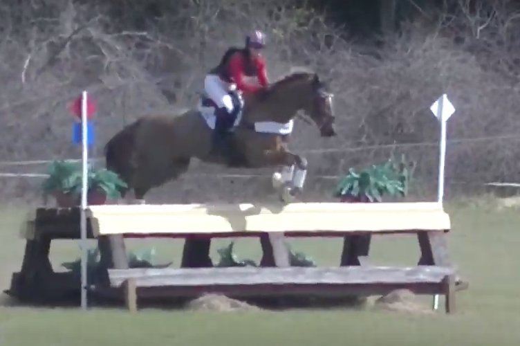 Wednesday Video from Kentucky Performance Products FiveStar Horses