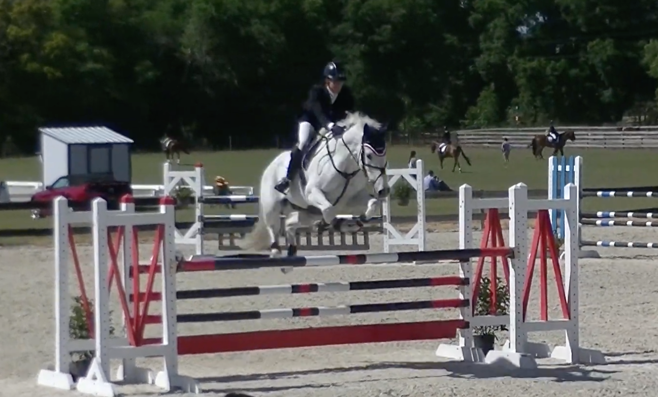 Wednesday Video from Kentucky Performance Products The Great Grays of