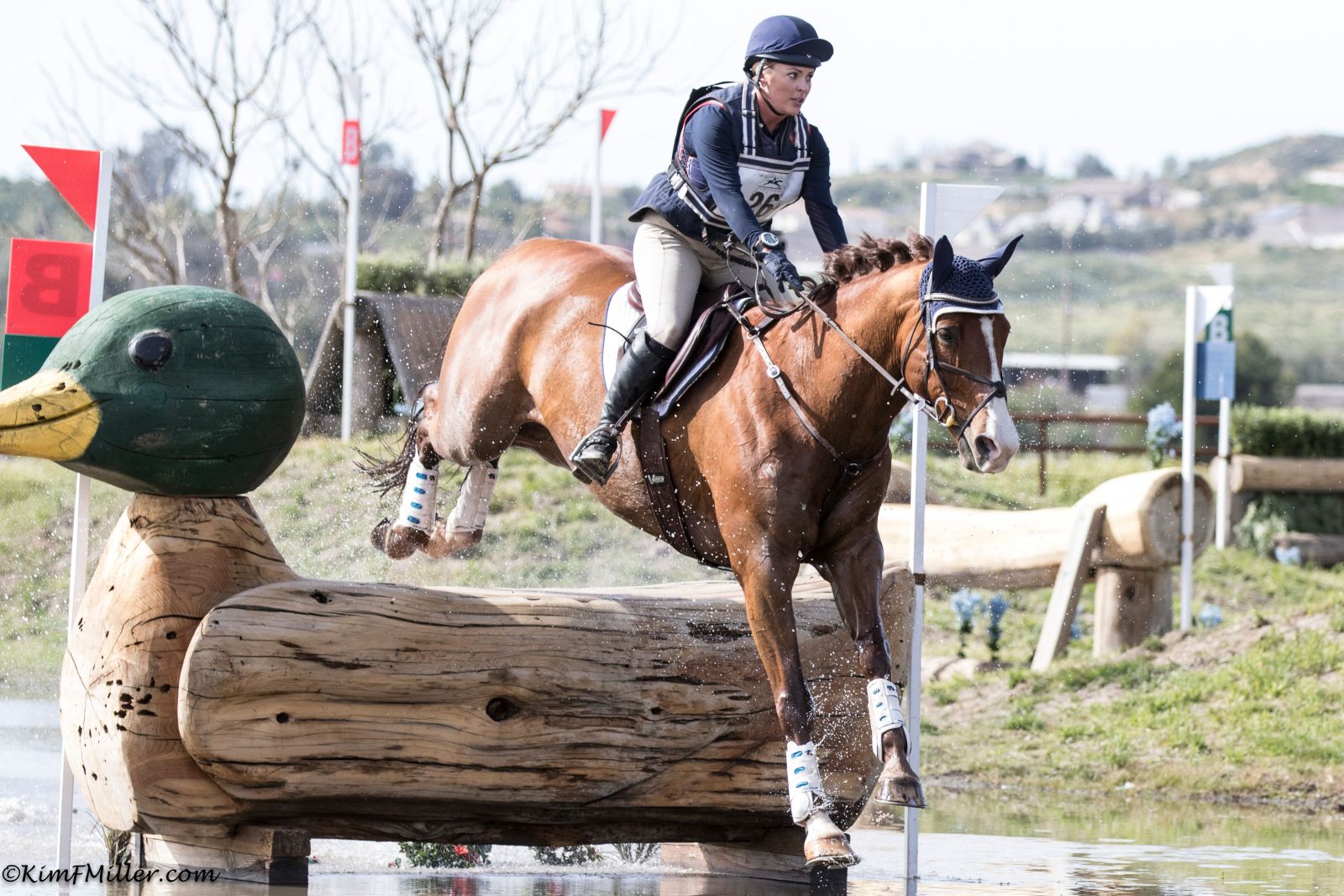 Who Jumped It Best? Galway Downs International Open Prelim Edition