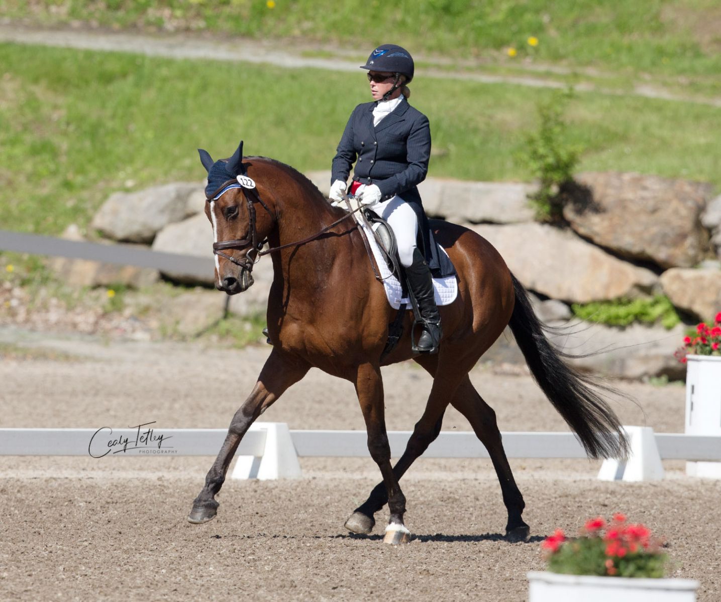 Buck Davidson Bounces Back from Broken Collarbone to Lead Bromont CCI4 ...