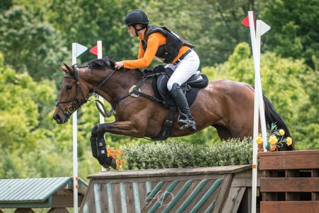 Reckless Abandon. Photo via Sport Horse Nation. 