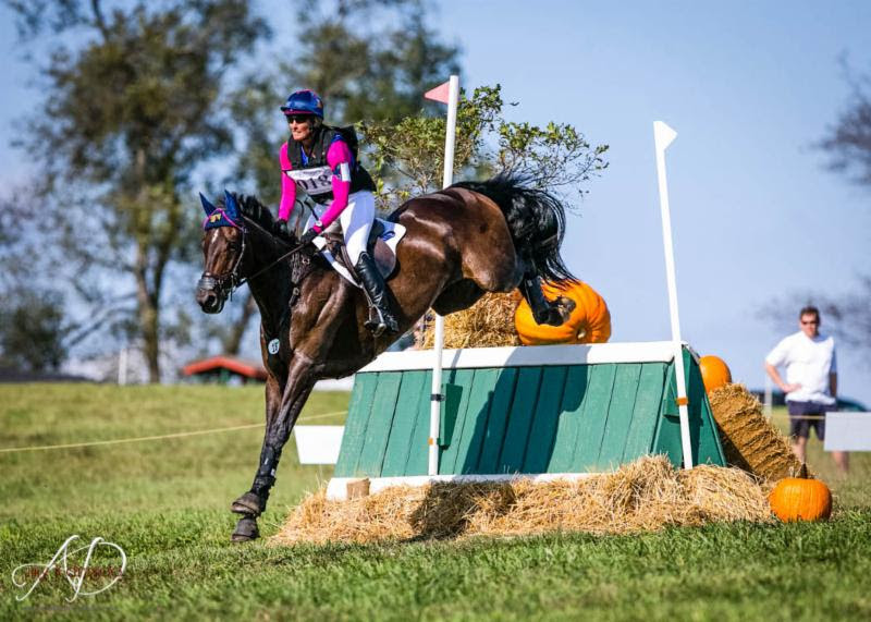 This Week in Horse Health News Presented by MediVet Equine Eventing