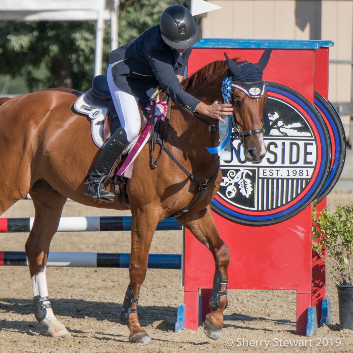Nupafeed Weekend Winners Feather Creek Farm, GMHA, Otter Creek Farm