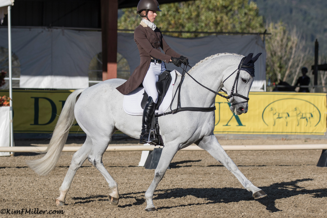 Woodside CCI4*S Dressage Report + Show Jumping Live Stream Eventing