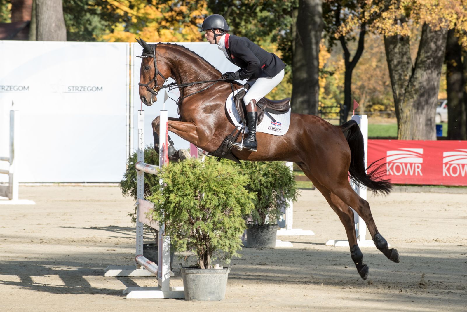 Harry Meade and Superstition Sweep Strzegom CCI4*L Eventing Nation