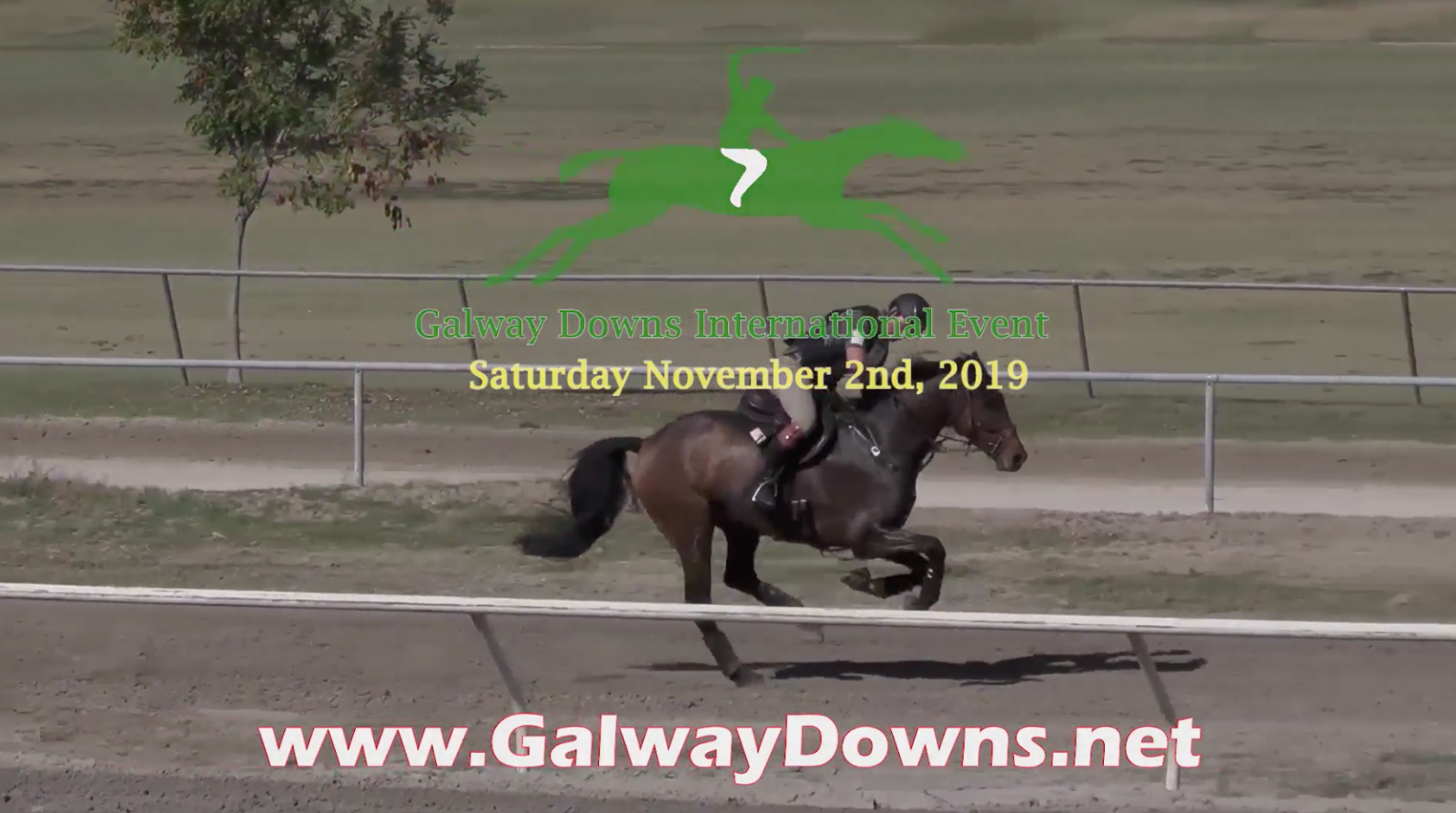 Watch the Galway Downs International Live Stream Eventing Nation