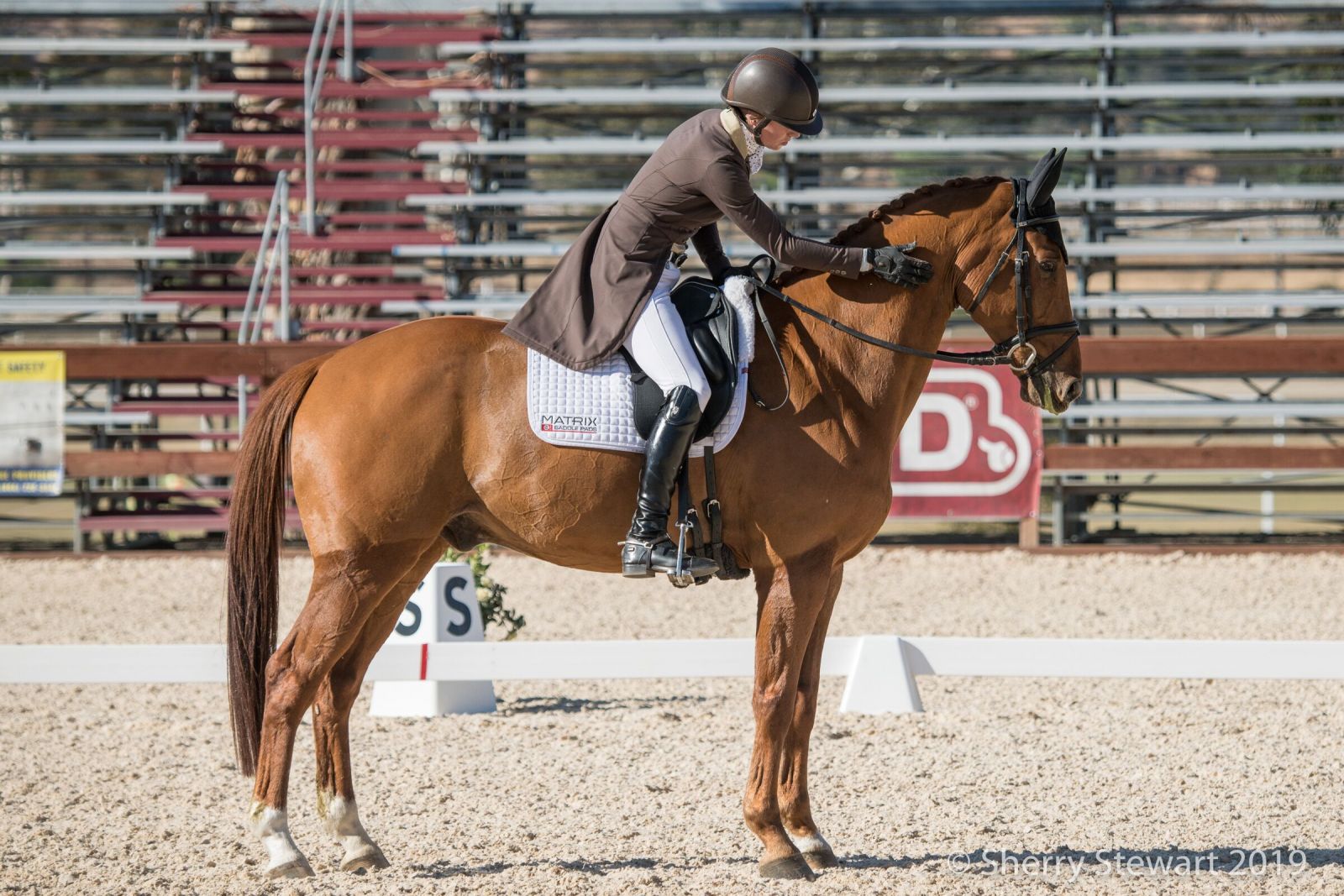 Who Patted Their Horse the Best? Galway Downs International CCI3*L
