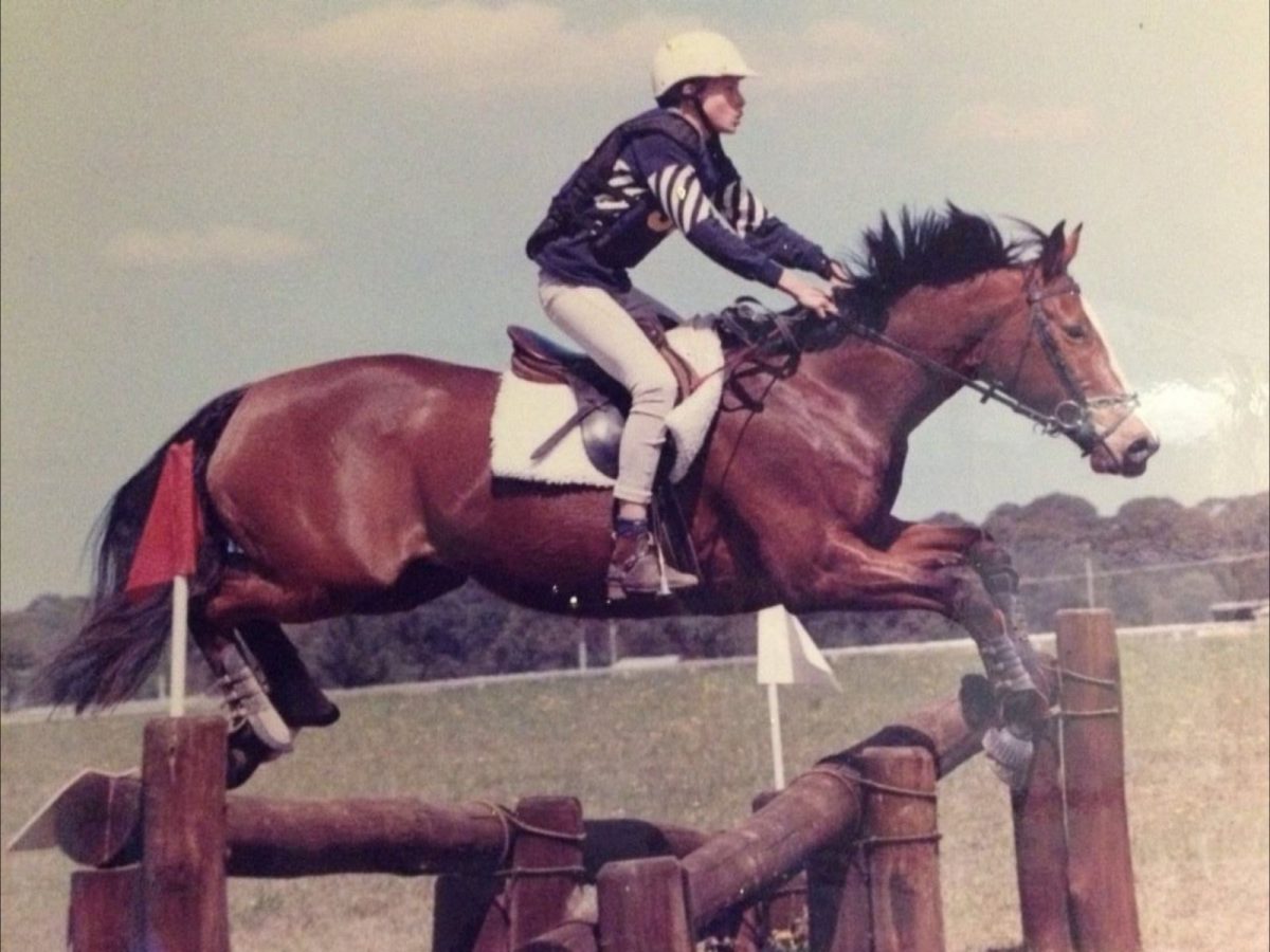 Martin boyd thesis 07 image