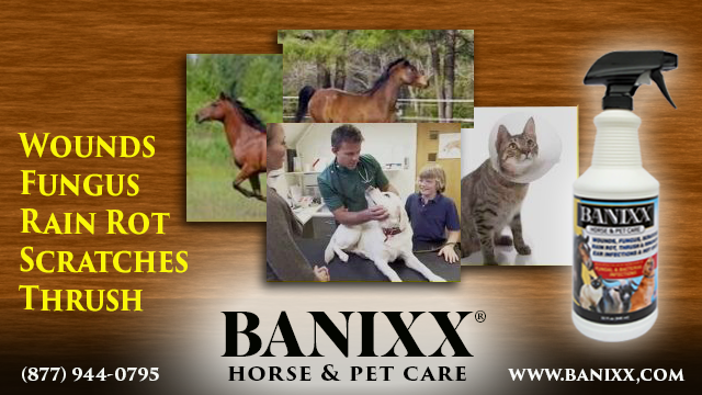 Banixx,Wound Care,Horse,Equine,Safe,Non-toxic