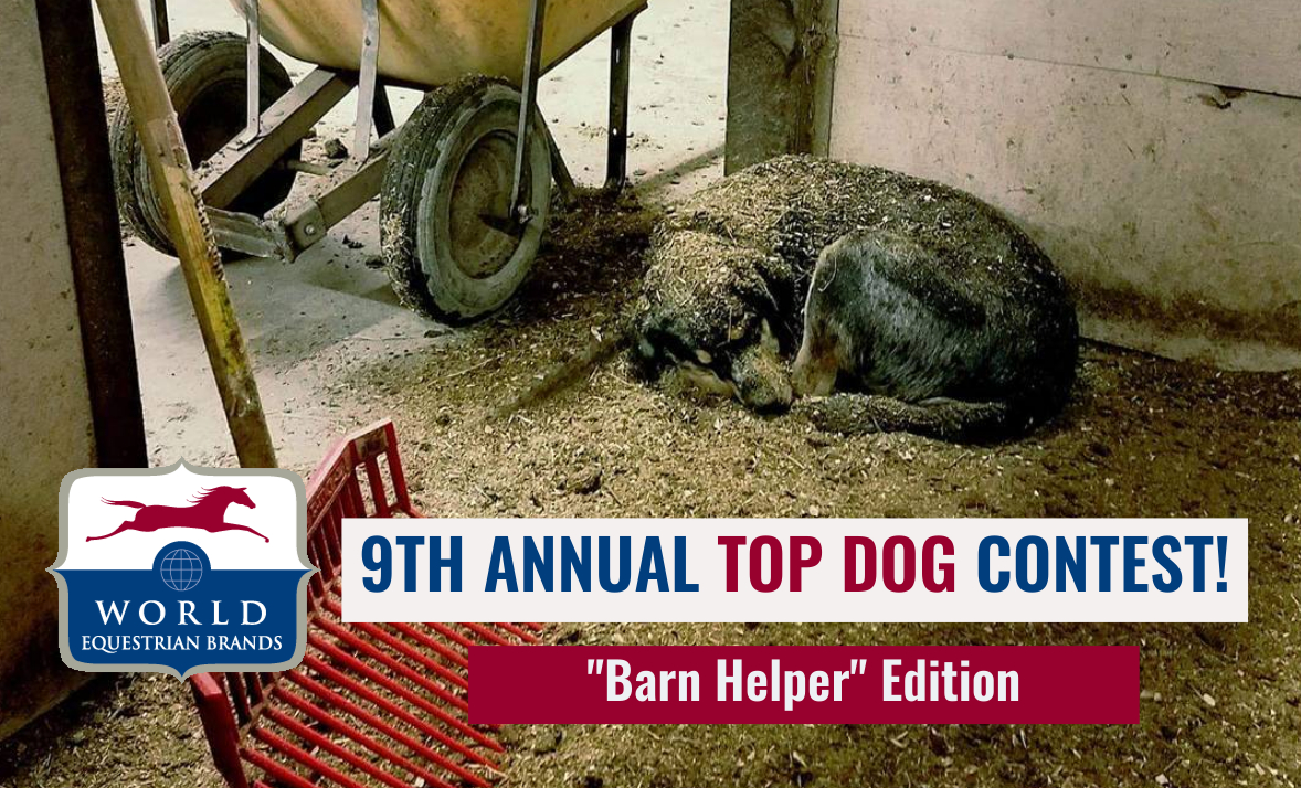 EN’s 9th Annual Top Dog ‘Barn Helper Edition’ Contest, Presented by ...