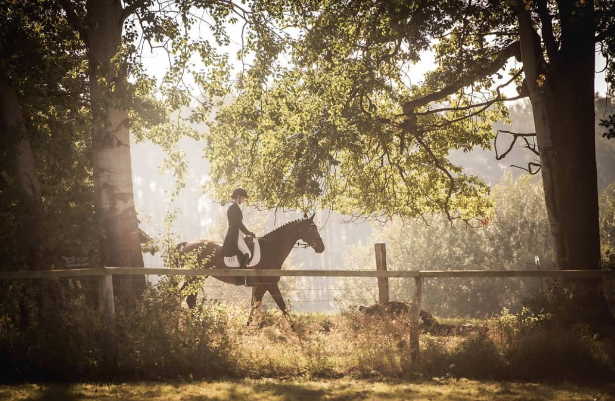 Monday News Notes Eventing Nation Three Day Eventing News Monday News Notes Eventing Nation Three Day Eventing News