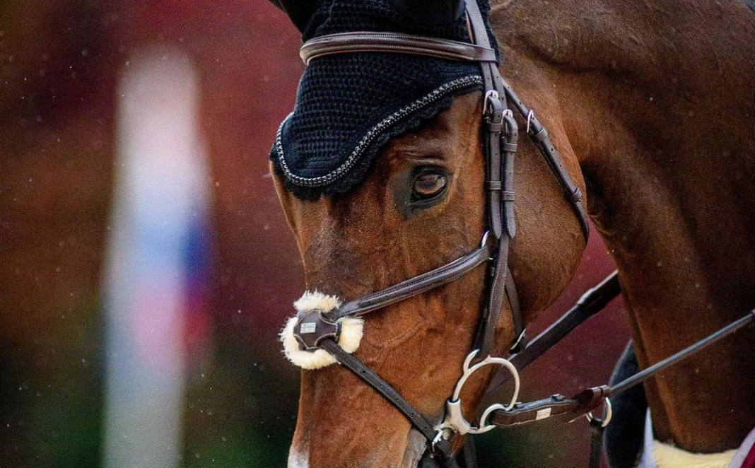 Monday News Notes Eventing Nation Three Day Eventing News Monday News Notes Eventing Nation Three Day Eventing News