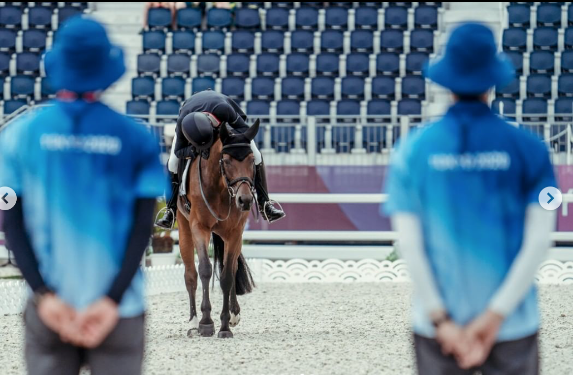 Shows - Dancing Horses