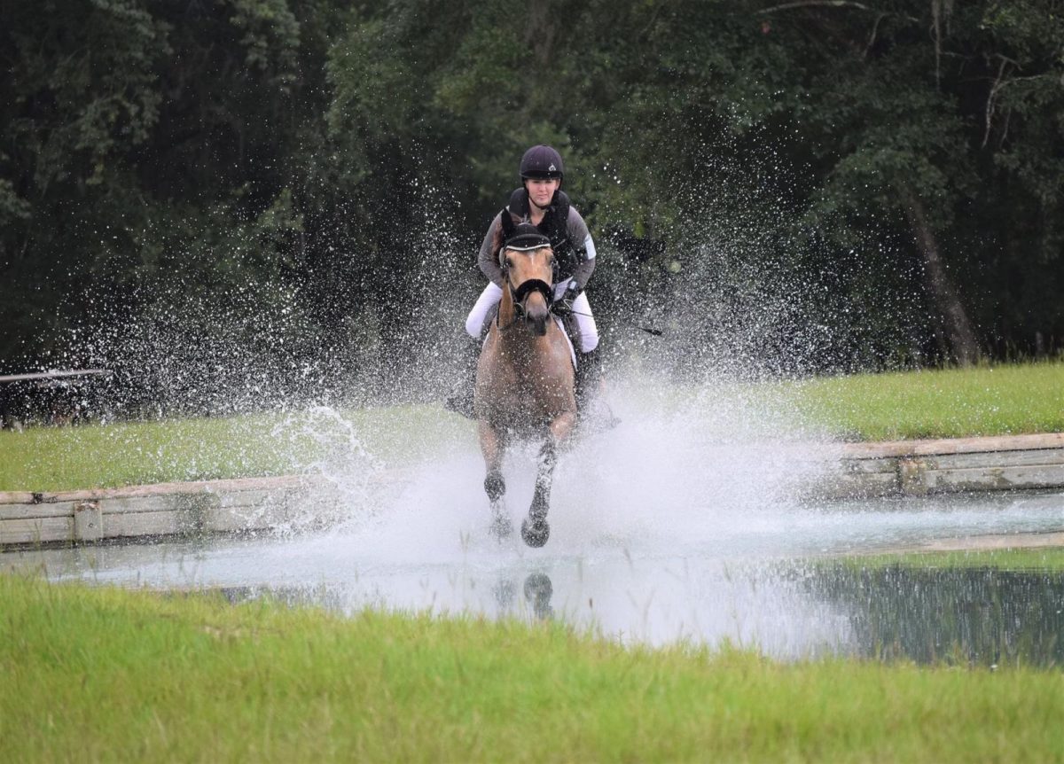 Get Your Learning On at Barnstaple South’s Next Jackpot Schooling Show