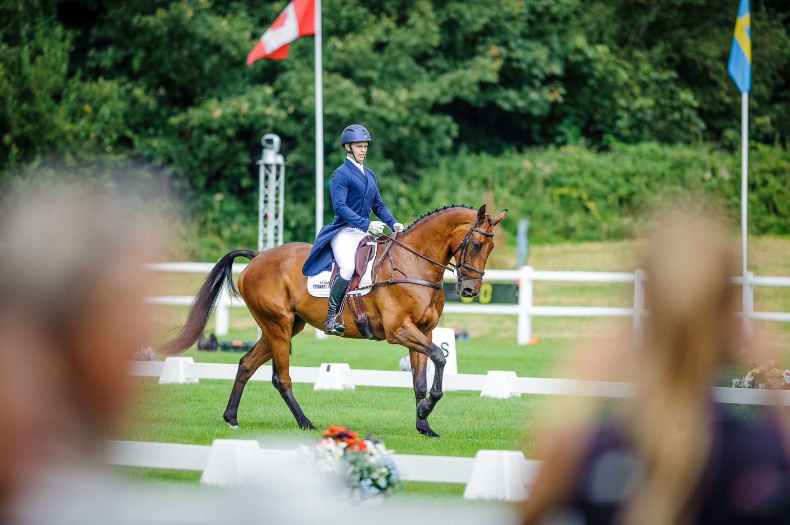 Gallery The Ups, Downs, and Emotions of Bicton’s FiveStar Dressage