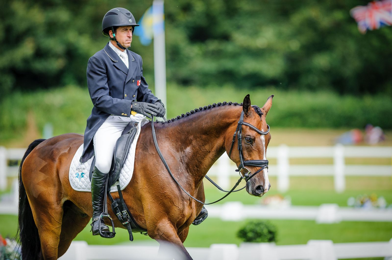 Gallery The Ups, Downs, and Emotions of Bicton’s FiveStar Dressage