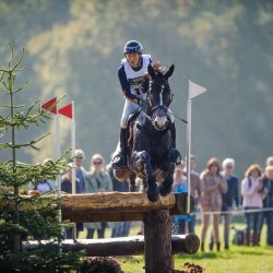 Tim Lips gives Lady Chin van't Moerven Z a super education. Photo by Tilly Berendt.