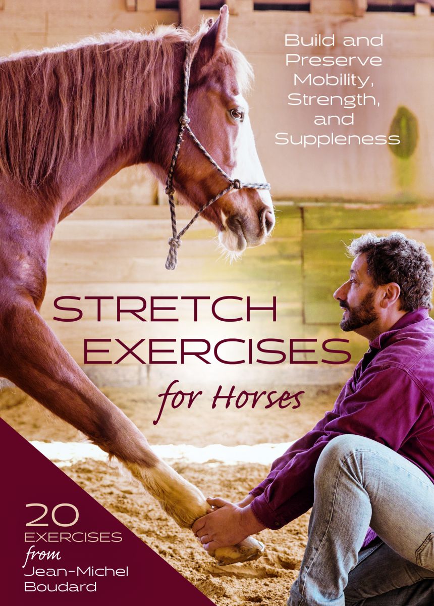 Stretch the Limbs, Free the Back An Excerpt from ‘Stretch Exercises