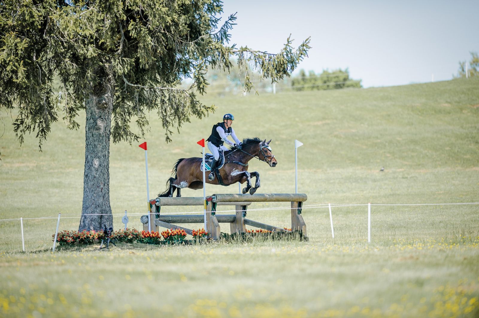 “He’s Kept a Few Things Up His Sleeve”: Takeaways from Pratoni’s Test Event Cross-Country