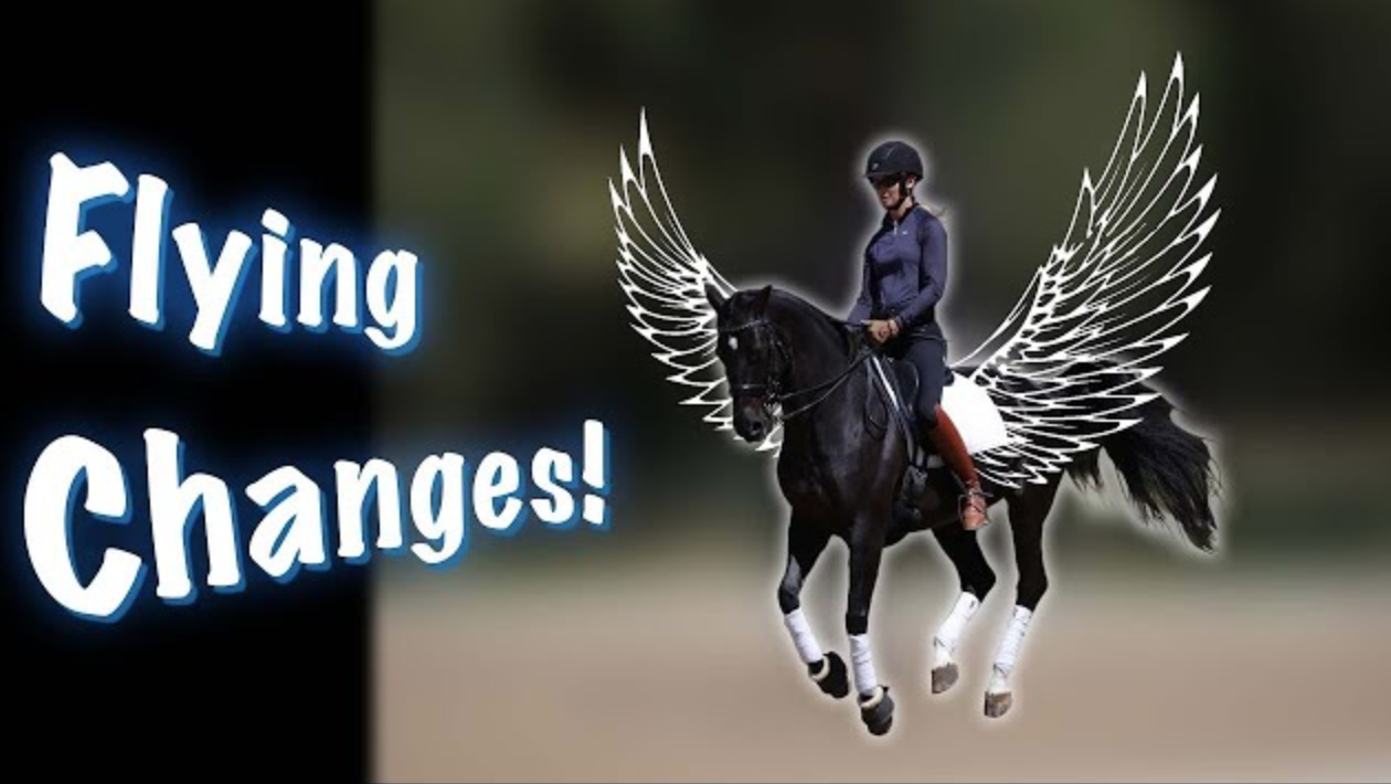 Monday Video: Figuring Out Flying Changes