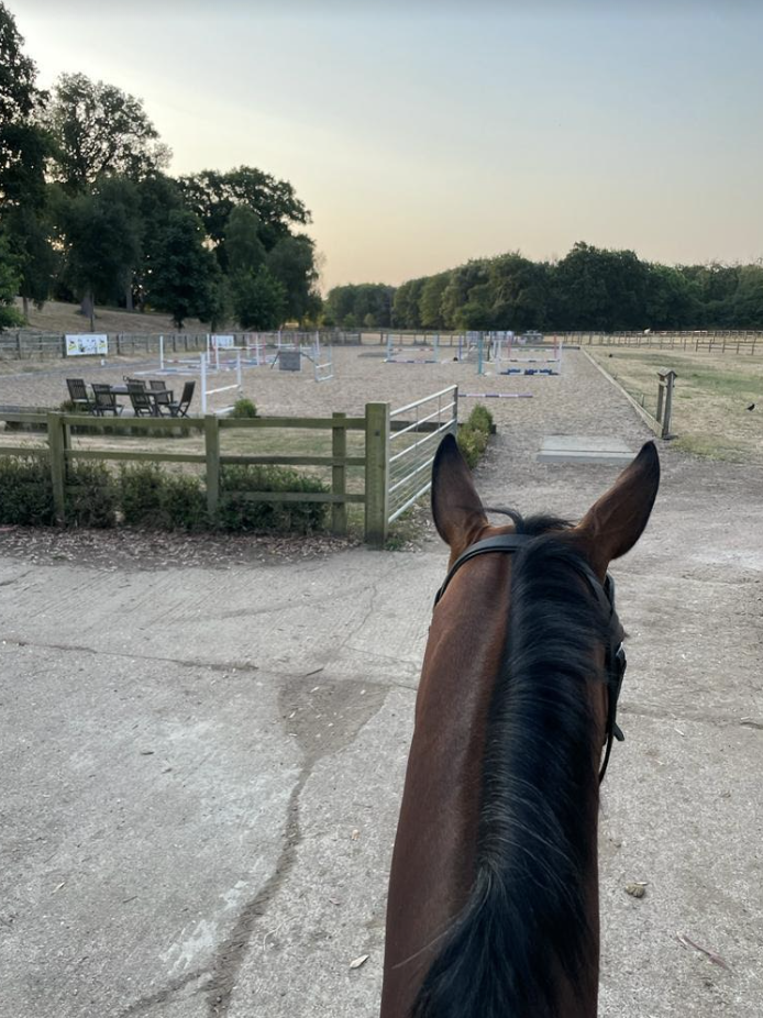 Spend a Day Abroad with Cornelia Dorr Eventing Nation ThreeDay