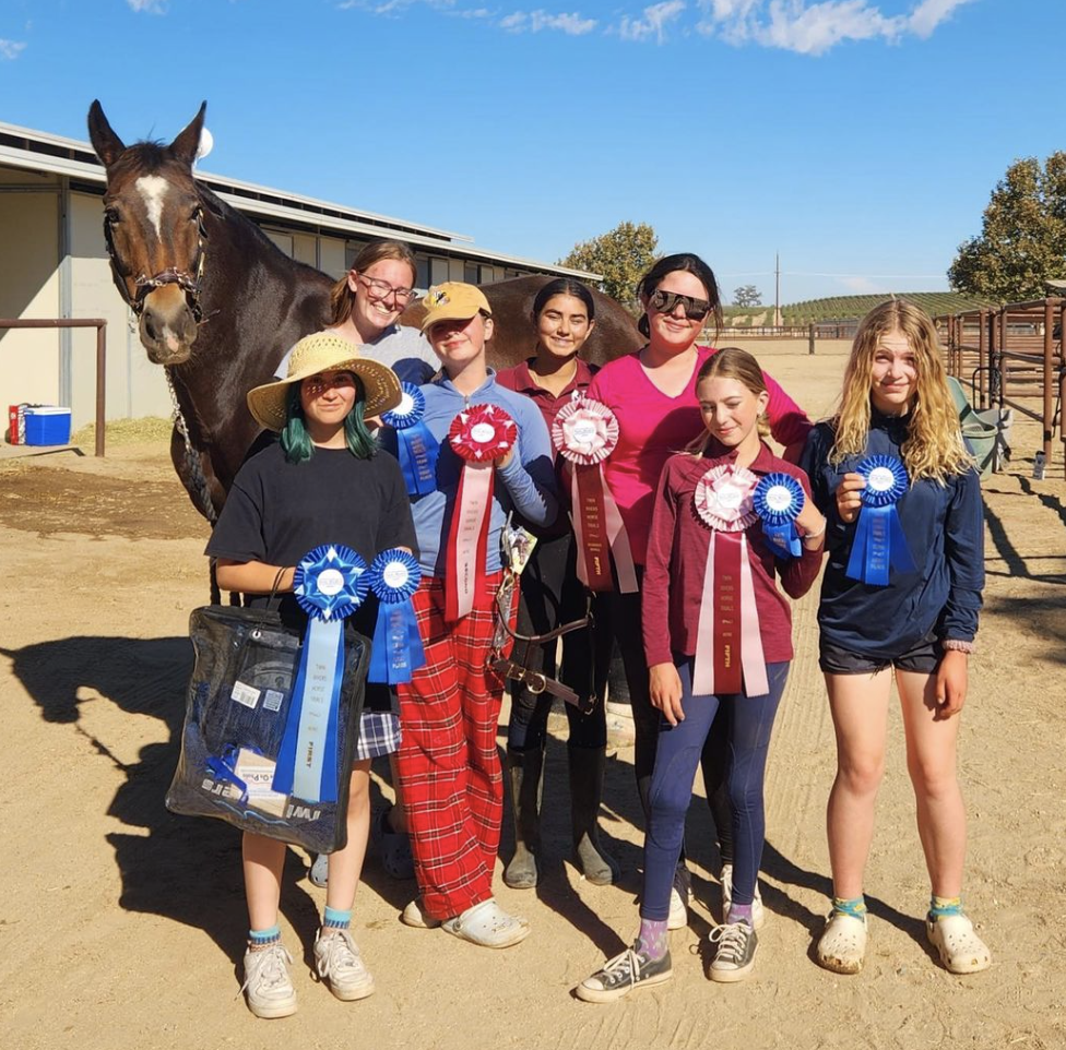 Weekend Winners Stable View, Twin Rivers, ESDCTA, Larkin Hill