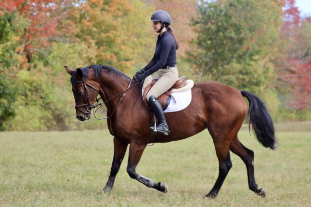 Improve Your Downward Transitions with an Ice Cream Scoop | Eventing