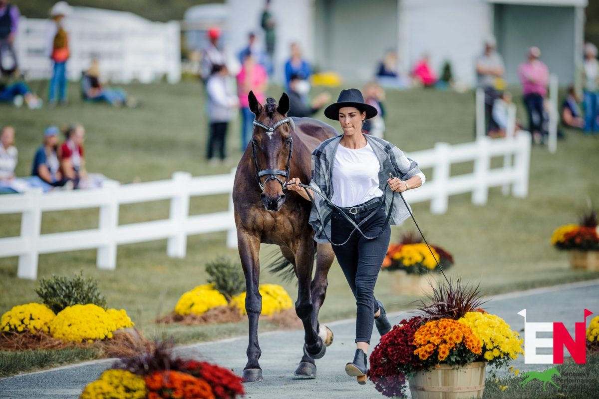 Meet the Horses and Riders of the 2023 Setters’ Run Farm Carolina