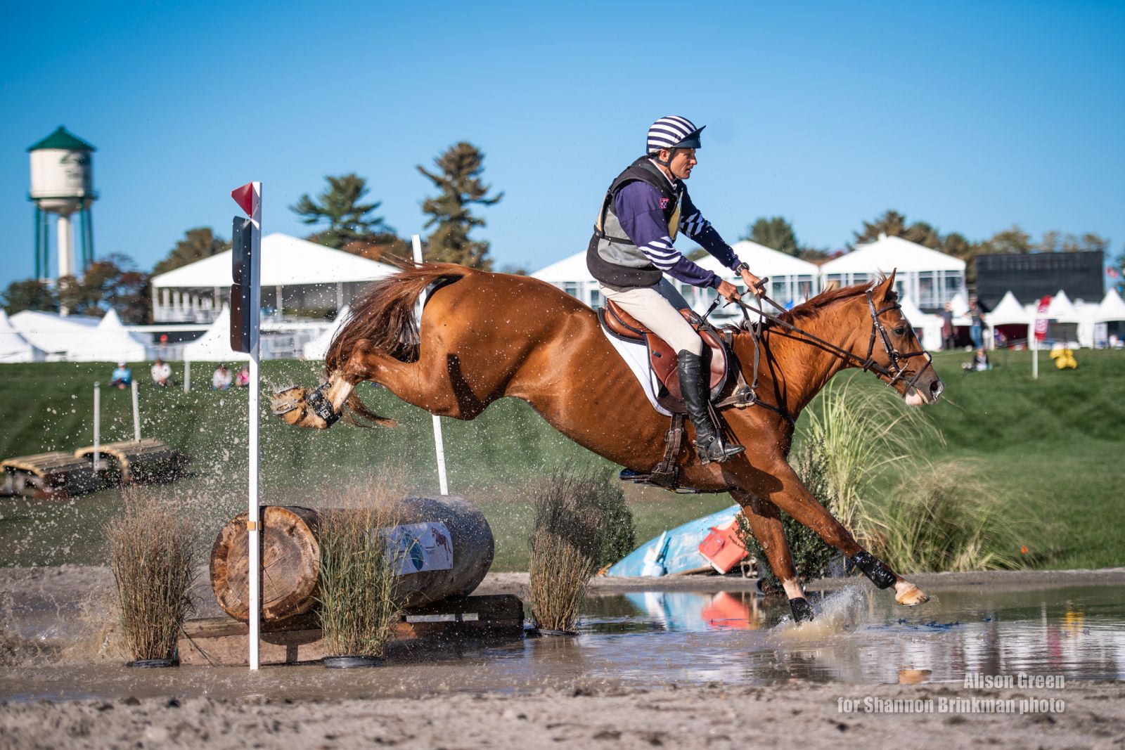 OWNER HORSE ★DEEP SKY MARTINSky-