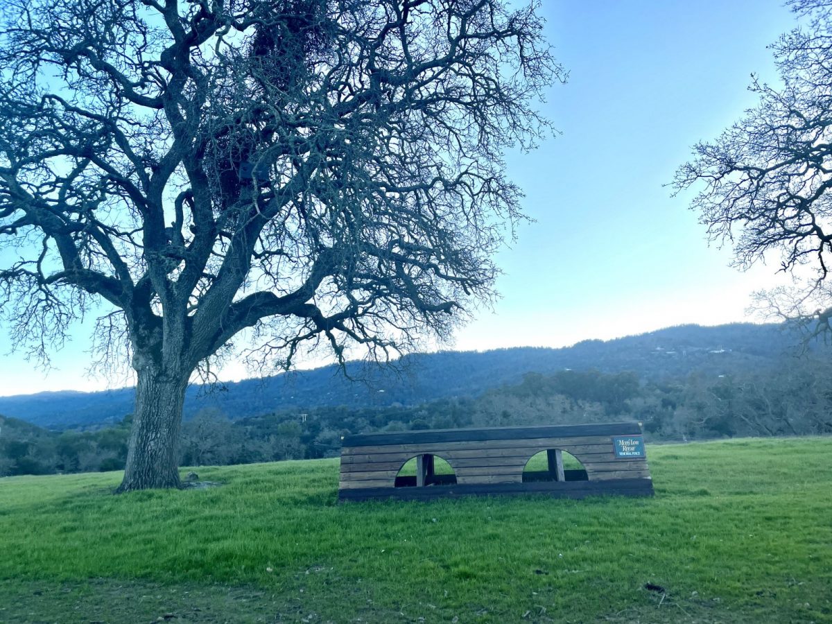 Looking Ahead to Eventing at Woodside Horse Park in 2023 Eventing