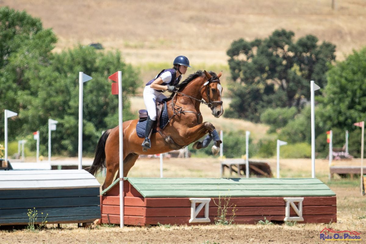 Young Horses Take Spotlight at Twin Rivers Summer H.T. Eventing