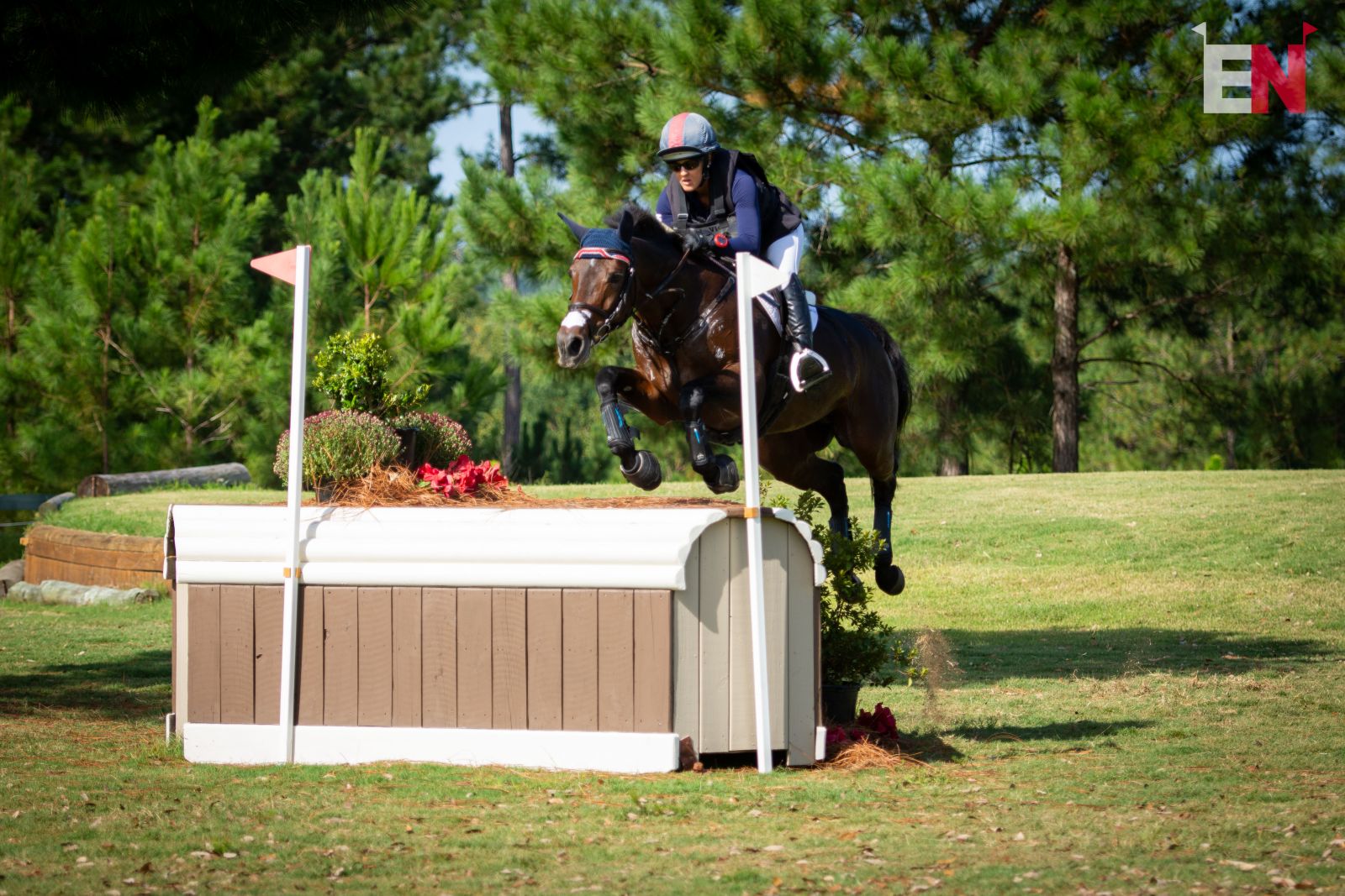 Friday News & Notes from Stable View