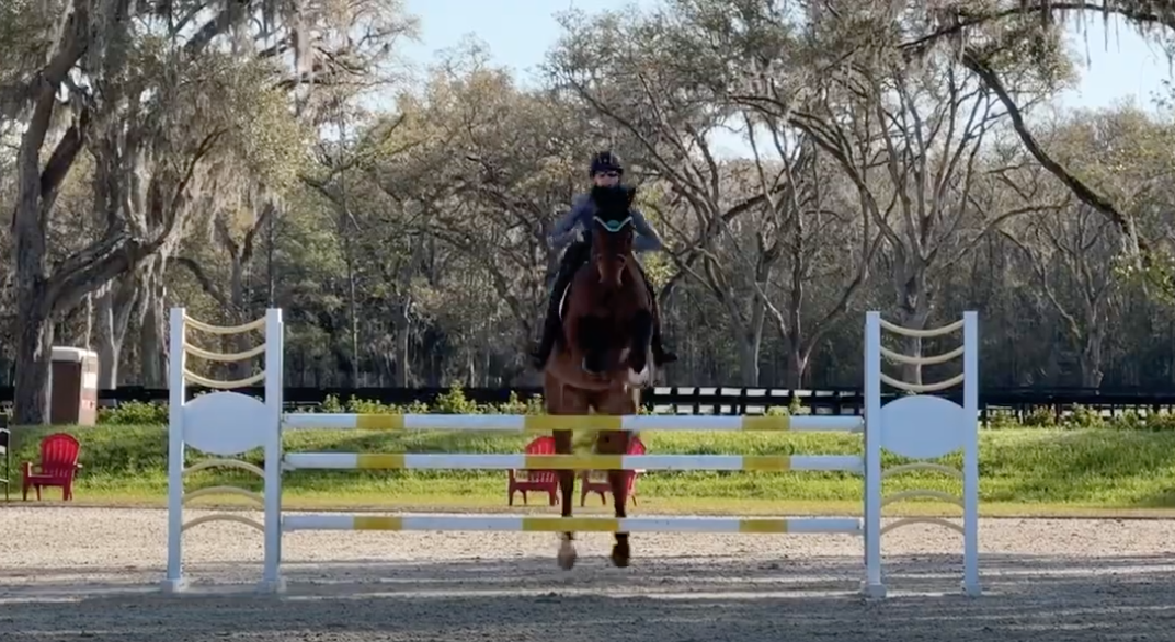 Tuesday Training Selena O’Hanlon’s Sessions in the William FoxPitt