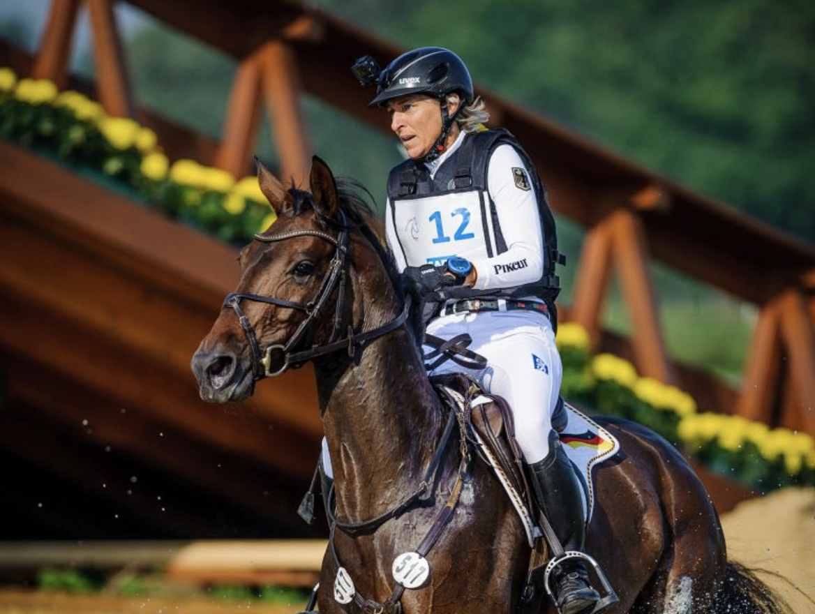 You Can Lead a Horse to Water…