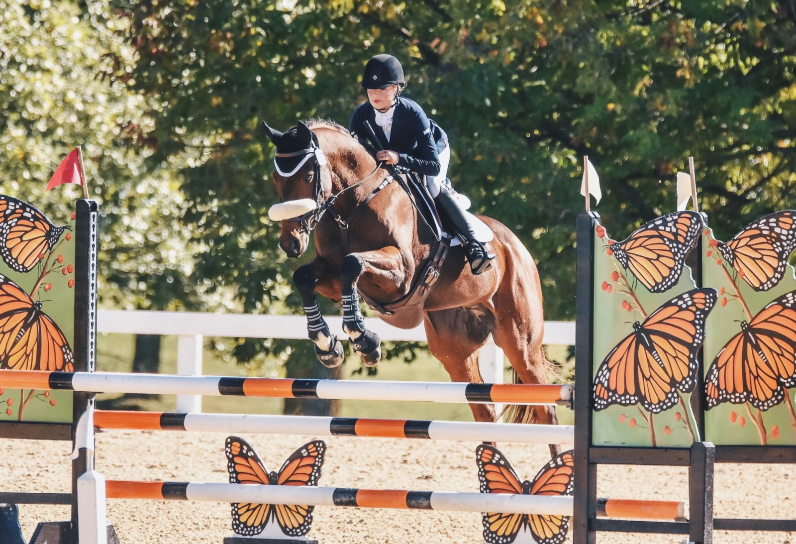 Her Love of Thoroughbreds Runs Deep Kendahl Holden Launches ABW